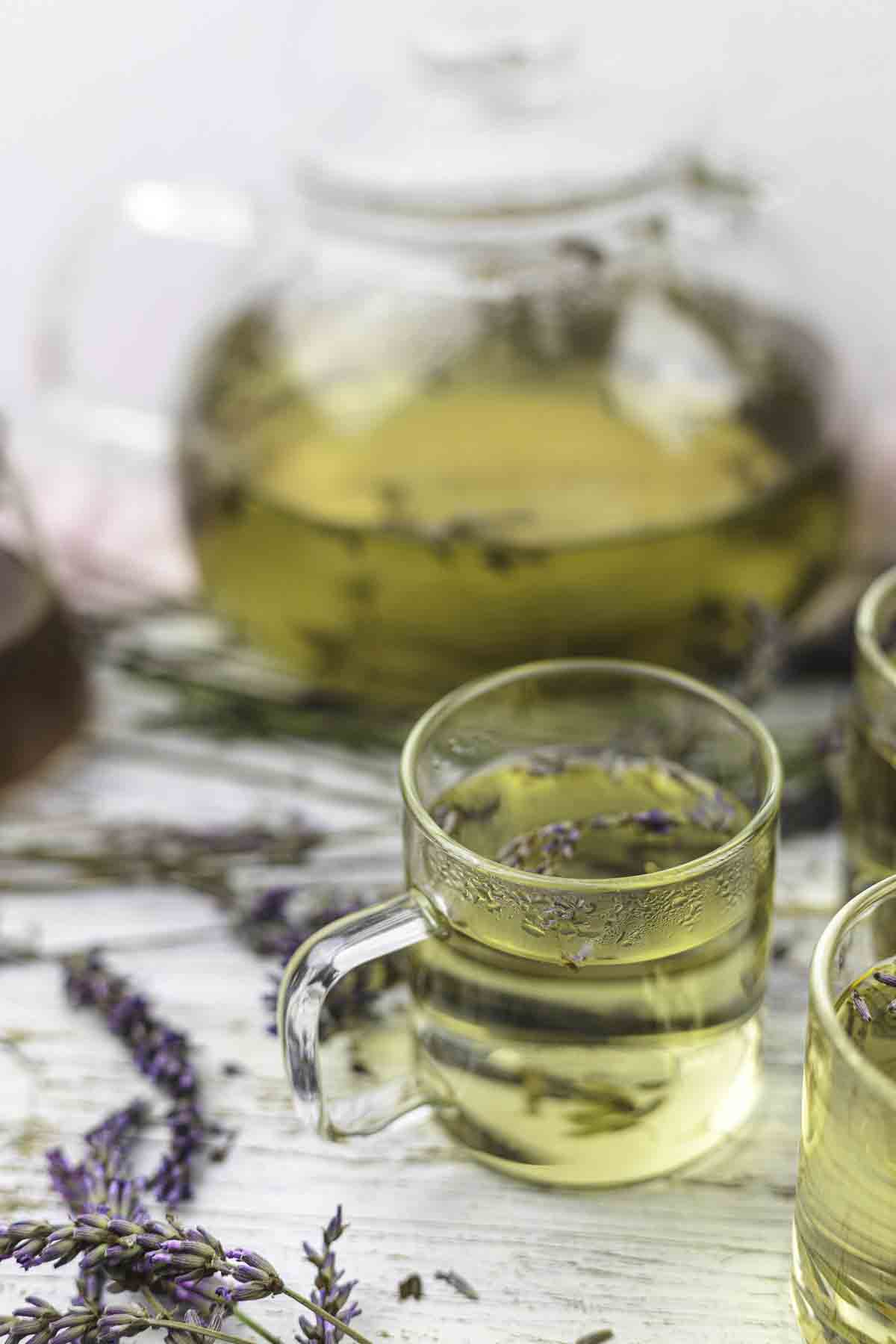 Glass cups and a teapot filled with lavender tea on a white wooden surface, surrounded by lavender sprigs.