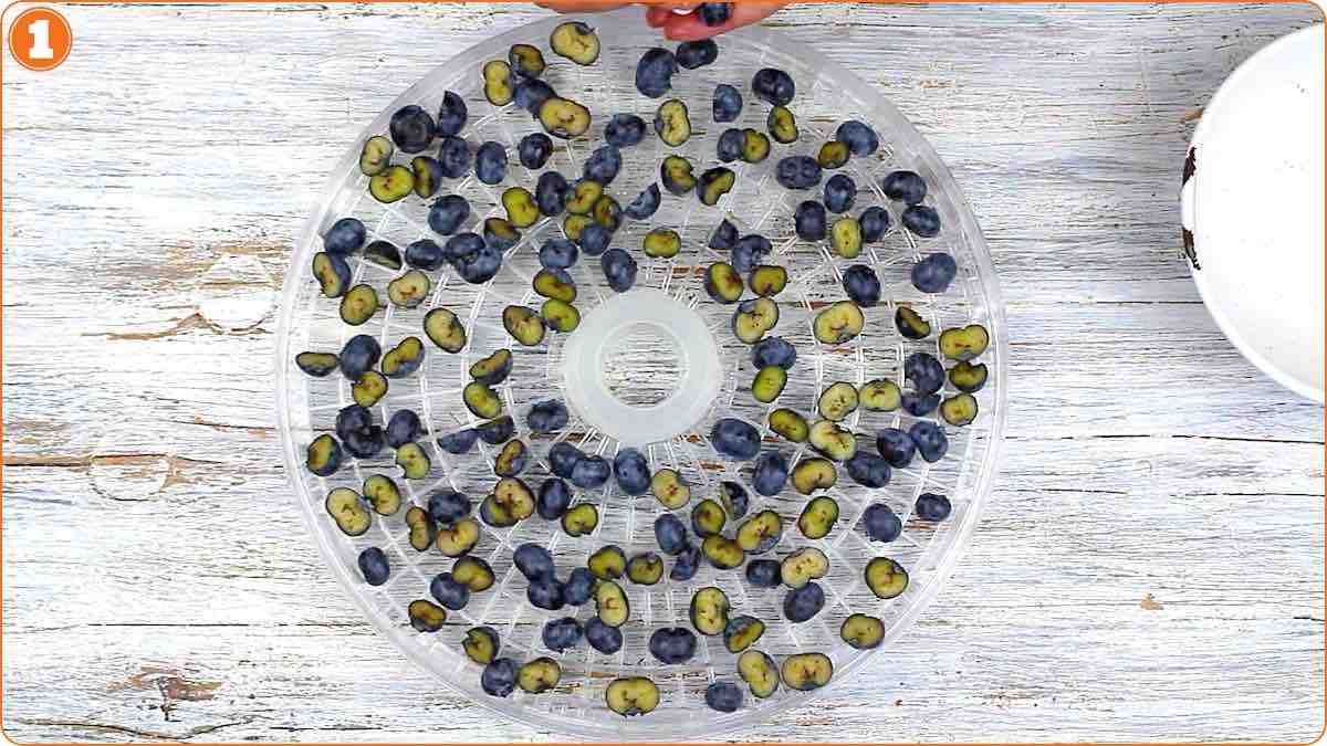 Halved blueberries spread evenly on dehydrator tray.