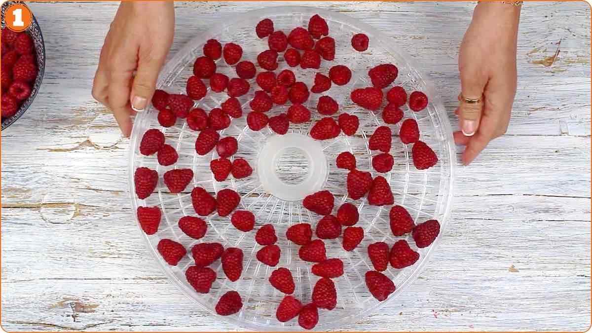 Hands holding a round dehydrator tray with evenly spaced fresh raspberries, ready for drying; a bowl of more raspberries is visible on the side.