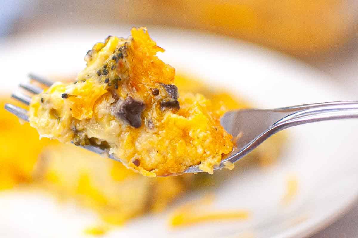 A fork holds a bite of cheesy casserole with visible pieces of broccoli and mushrooms, against a blurred background.