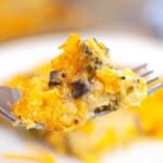 A close-up of a fork holding a bite of cheesy baked casserole with broccoli and mushrooms.